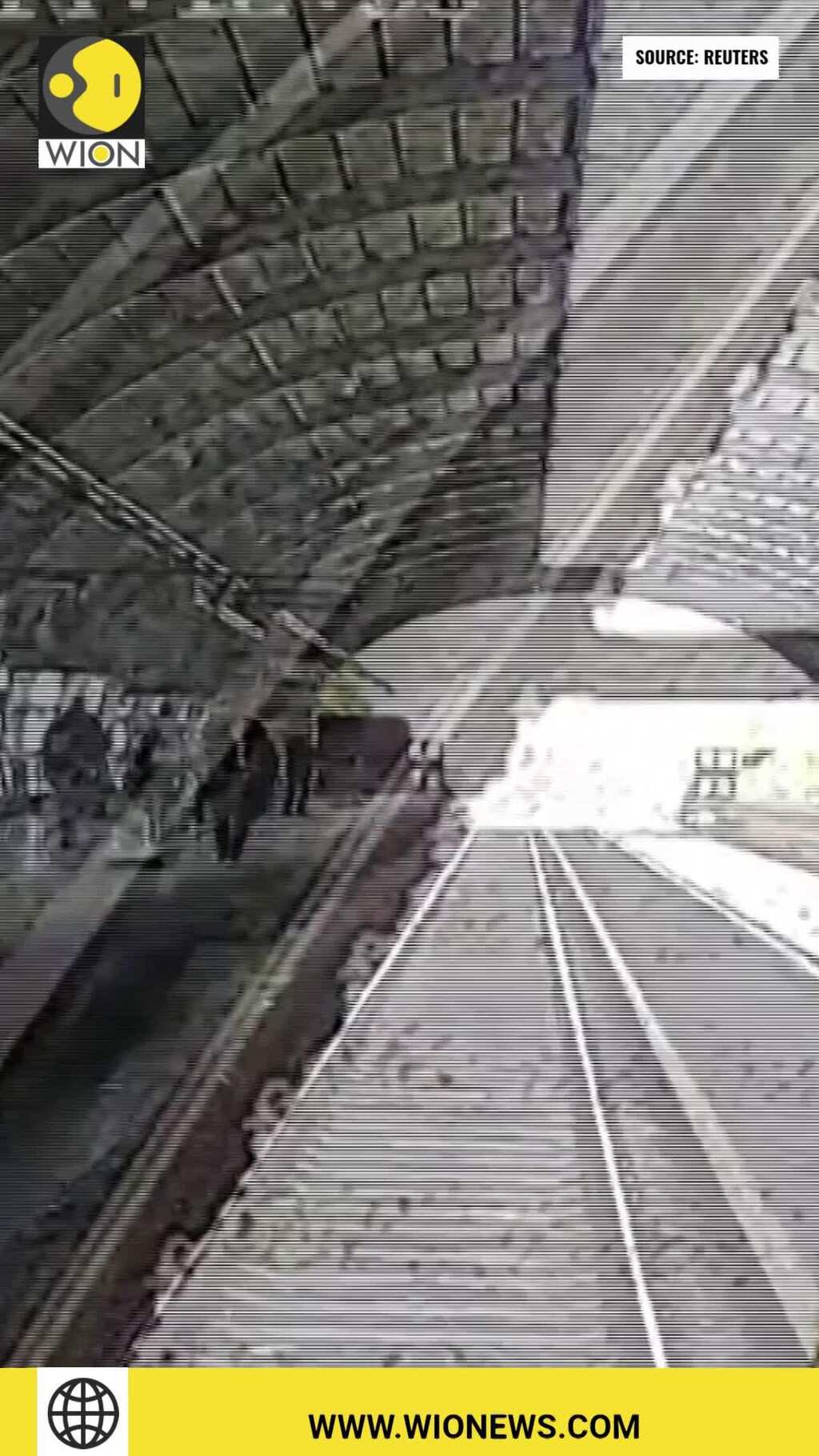 Watch: Man rescued after falling into the path of train in Argentina