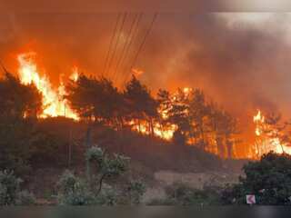 WION Climate Tracker: California authorities ramp up efforts to stop forest fire