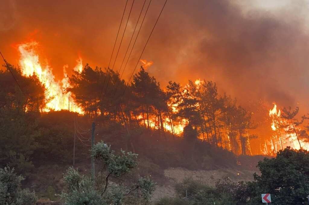 WION Climate Tracker: California authorities ramp up efforts to stop forest fire