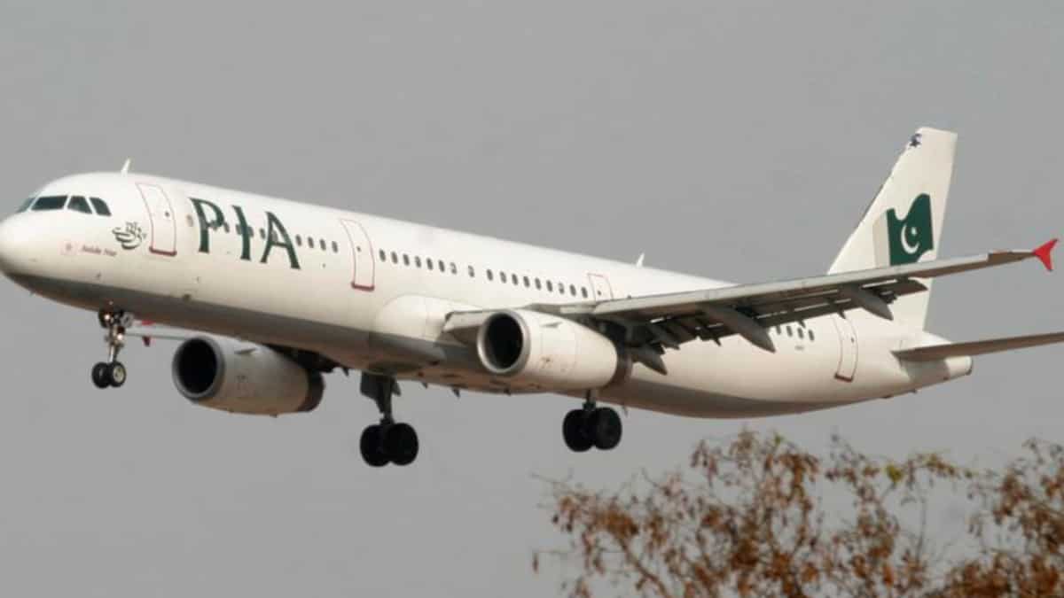 Pakistan International Airlines 'regrets' asking cabin crew to 'wear undergarments', issues clarification