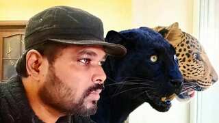 After months of struggle, Indian doctor bids goodbye to pet jaguar, leopard in Ukraine