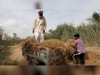 Pakistan: 25,000 farmers stage protest in Islamabad, ask for fertilisers subsidies