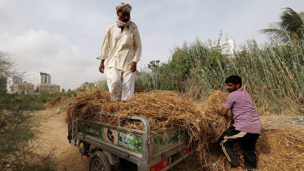 Pakistan: 25,000 farmers stage protest in Islamabad, ask for fertilisers subsidies