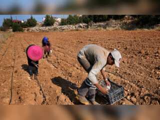 WION Climate Change | Lebanon: Farming communities struggle to keep their soil from dying