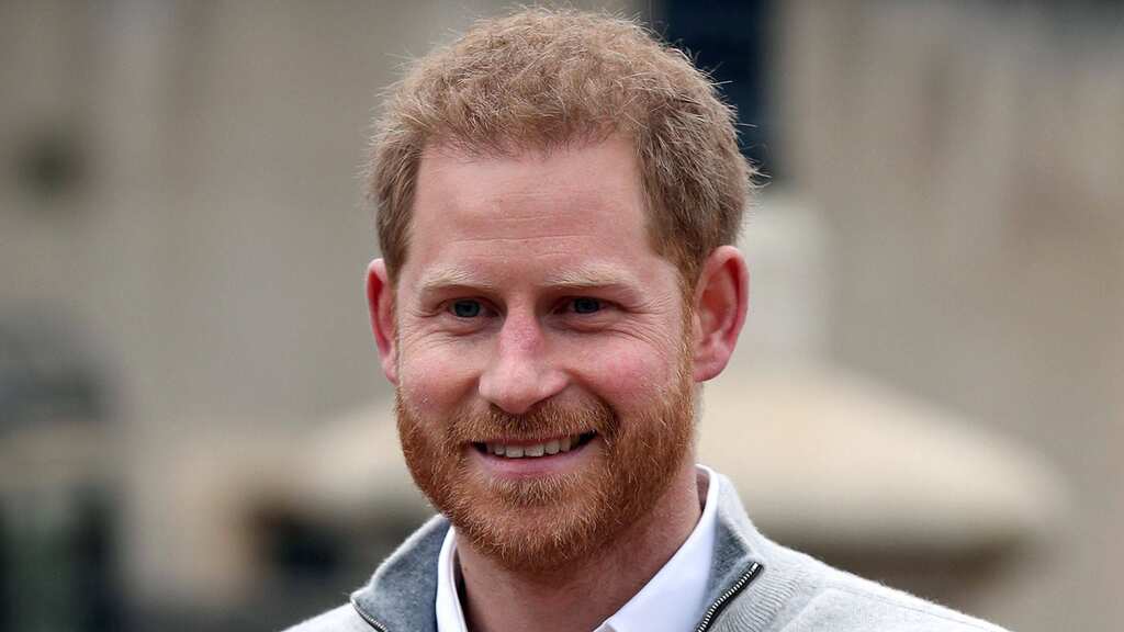 Share a strong physical resemblance with Prince Harry? 'The Crown' wants you