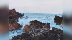 Gravitas: Global warming making our oceans acidic