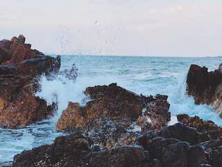 Gravitas: Global warming making our oceans acidic