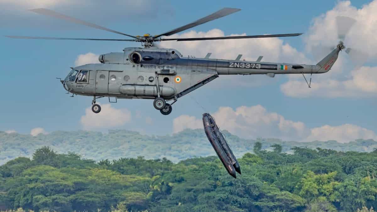 The many roles of the IAF
