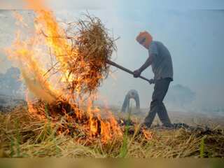 630 stubble burning cases in India's Punjab so far; farmers say they have 'no choice'