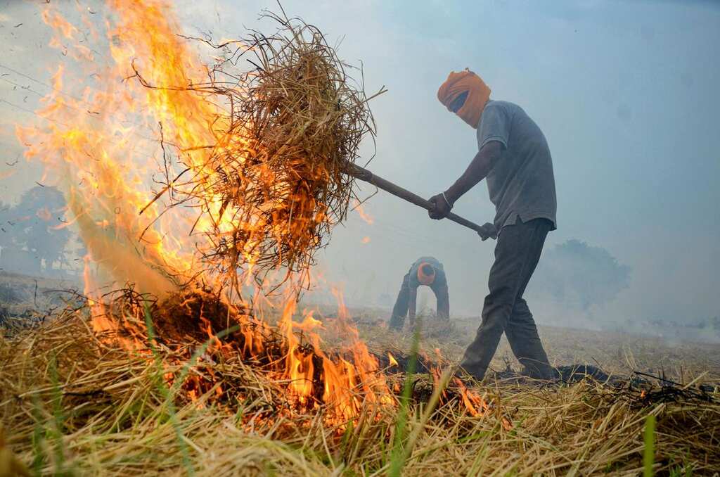 630 stubble burning cases in India's Punjab so far; farmers say they have 'no choice'