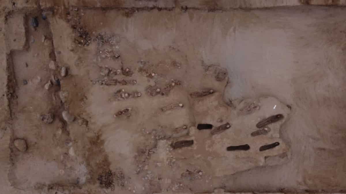 Remains of child sacrifice victims with hearts removed unearthed in Peru: Report Remains of child sacrifice victims with hearts removed unearthed in Peru: Report