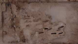 Remains of child sacrifice victims with hearts removed unearthed in Peru: Report
