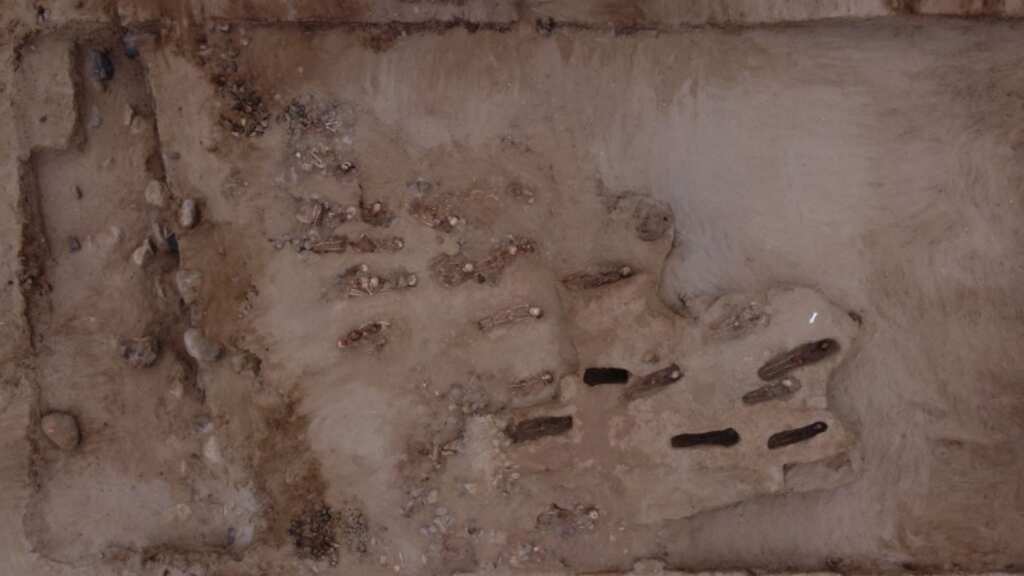 Remains of child sacrifice victims with hearts removed unearthed in Peru: Report