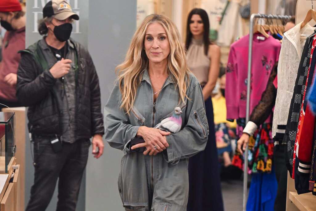 WION Dispatch | Hollywood actor Sarah Jessica Parker's Pigeon Clutch: A bird or a purse?