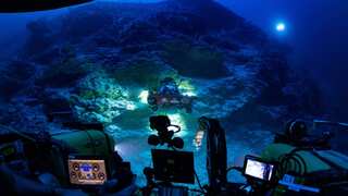 Report: Scientists find new ecosystem ‘The Trapping Zone’ in Maldives