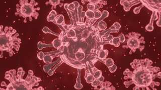 COVID-19: Oxford nasal spray vaccine fails its first clinical test, say researchers 