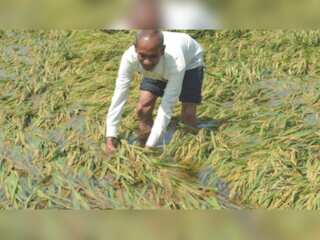 WION Climate Tracker | Heavy rain recorded in parts of India, summer-sown crops damaged