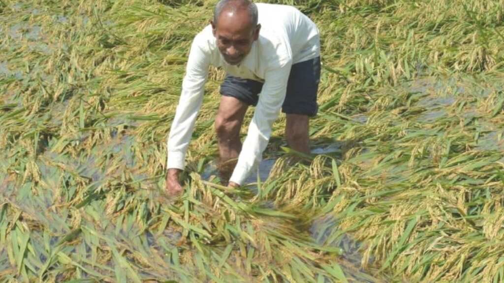 WION Climate Tracker | Heavy rain recorded in parts of India, summer-sown crops damaged