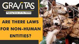 Gravitas: New study pushes for legal rights for animals, trees and rivers
