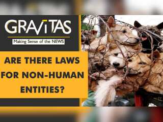 Gravitas: New study pushes for legal rights for animals, trees and rivers