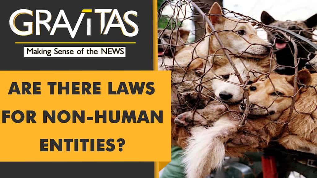 Gravitas: New study pushes for legal rights for animals, trees and rivers