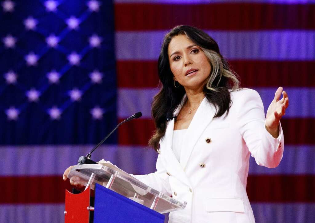 Tulsi Gabbard quits US Democratic party, accuses DEMs for 'serving the elite'