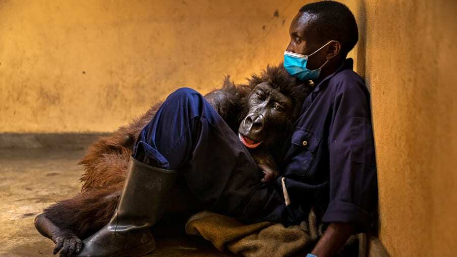 Ndakasi's passing