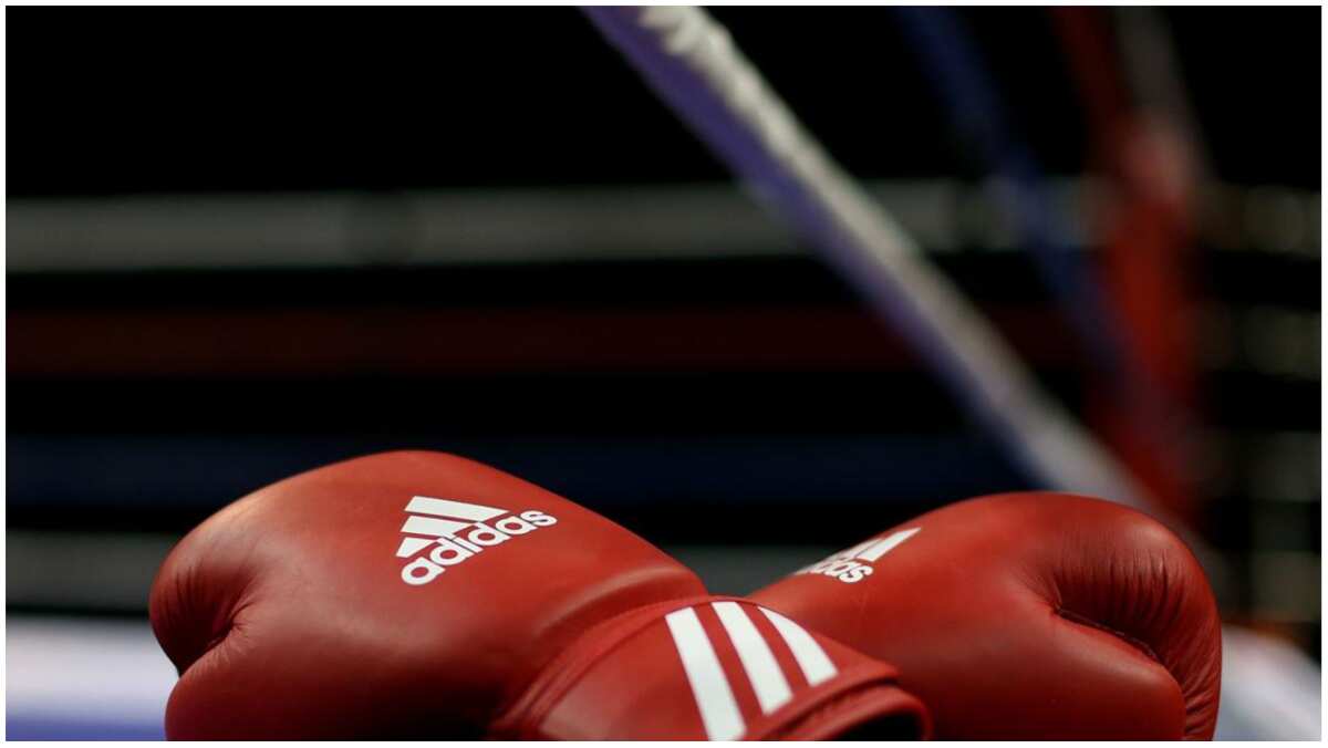 IBA gives nod to return of Russian, Belarus boxers with flags and anthems IBA gives nod to return of Russian, Belarus boxers with flags and anthems