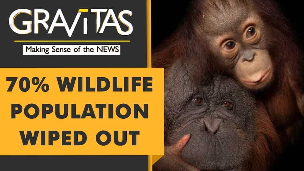 Gravitas: Are we in another age of Mass extinction?