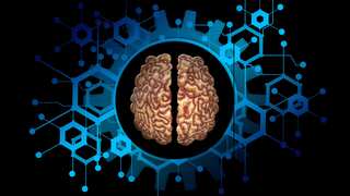 Study finds every new memory you make harms brain cells