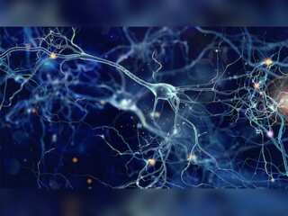 WION Fineprint | Scientists teach neurons to play 'Pong'