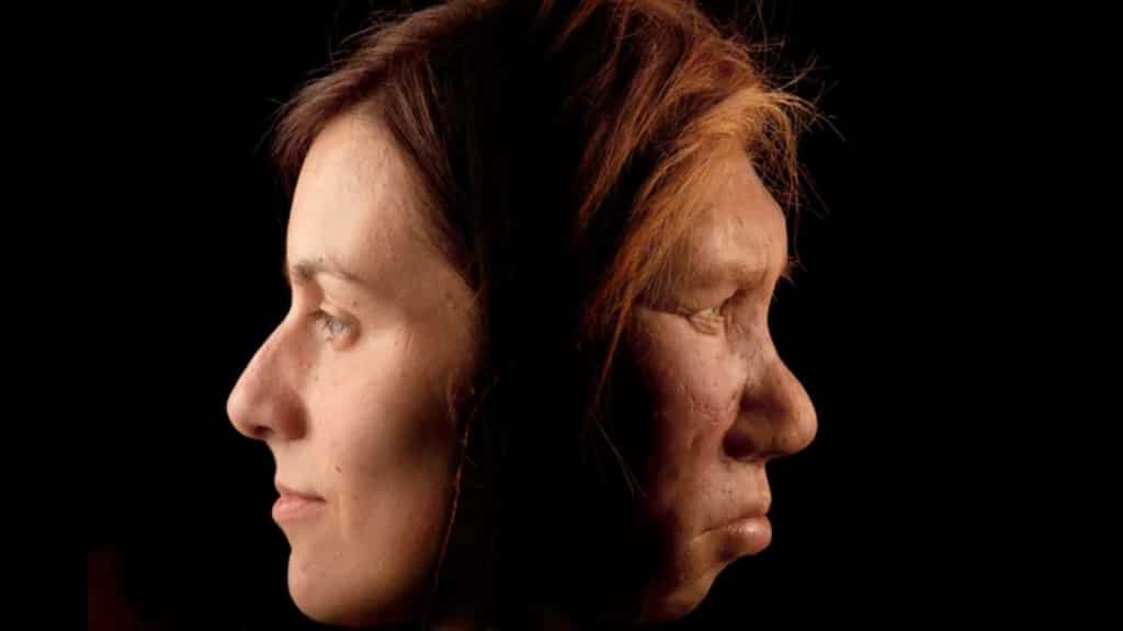 Study: Neanderthals, humans lived alongside each other for over 2,000 years