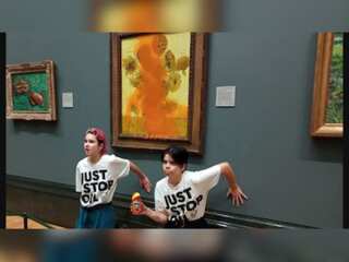 Artists throw tomato soup over Vincent Van Gogh's 'sunflowers'