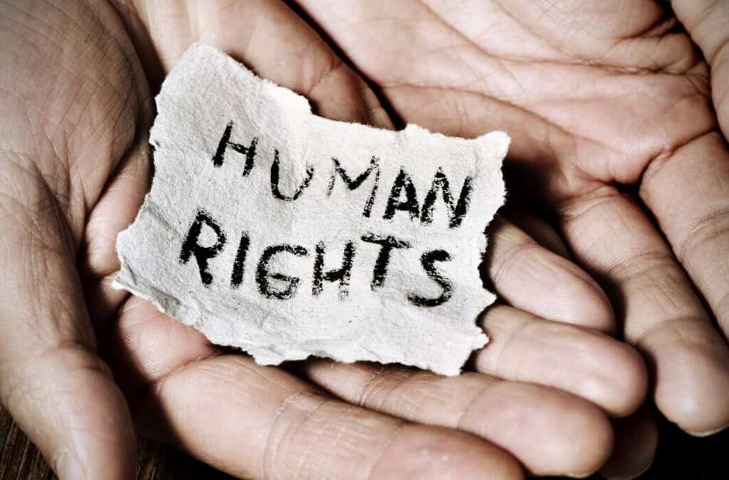 'Visuals disturbing for us at HRC Pakistan,' says Human Rights activist Tahira Habib