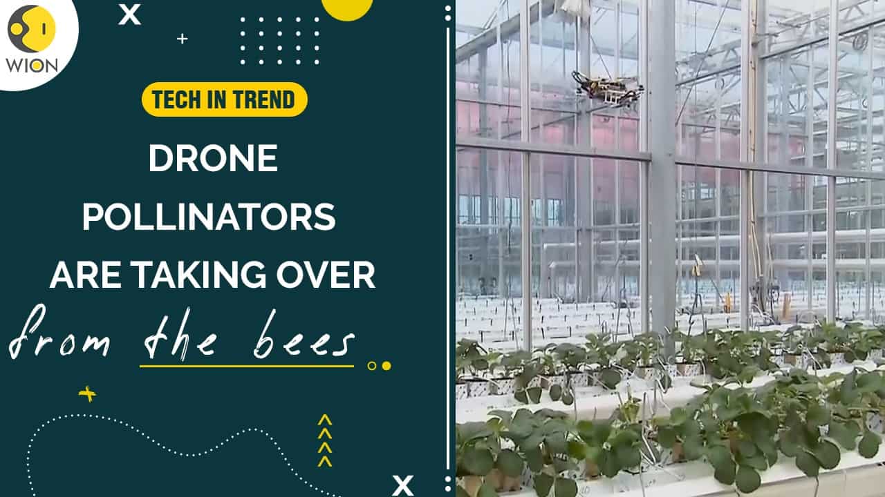 Tech in Trend Miniature drones to replace honey bees for pollination purposes in Australia