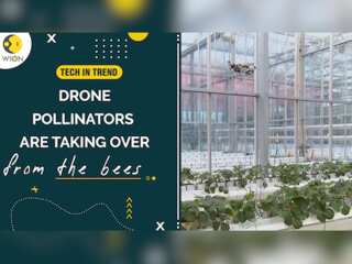 Tech in Trend: Miniature drones to replace honey bees for pollination purposes in Australia