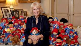 Paddingtons and Teddys left after Queen Elizabeth II's death to be contributed to Children's hospital