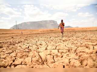 WION Climate Tracker: People in Kenya struggle to feed their families due to drought