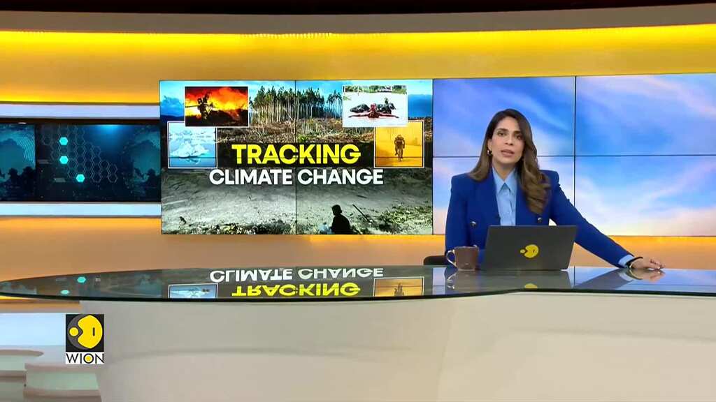 WION Climate Tracker: Australian study proposes new cost-effective way to recycle solar panels