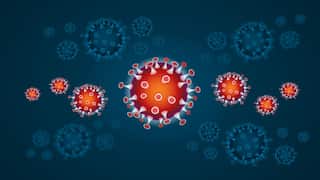 COVID-19: Multiple variants dominate the world. What will happen next?