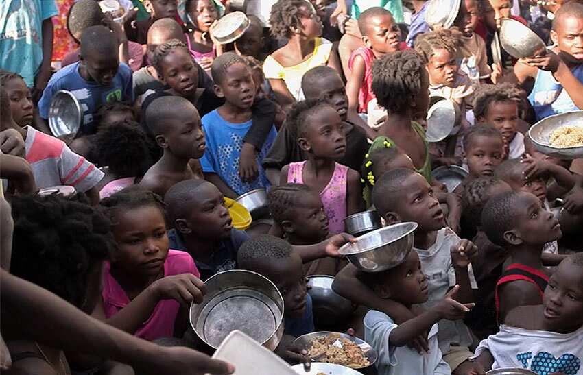 UN: Four million facing food insecurity in Haiti | WION News