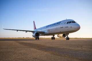 Turkish Airlines flight makes emergency landing after drunk passenger bites attendant's finger