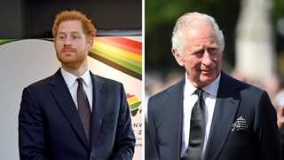 King Charles was ‘devastated’ after Prince Harry got married to Meghan Markle, claims book