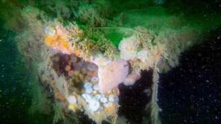 WWII shipwreck still polluting North Sea ocean floor 80 years after going down