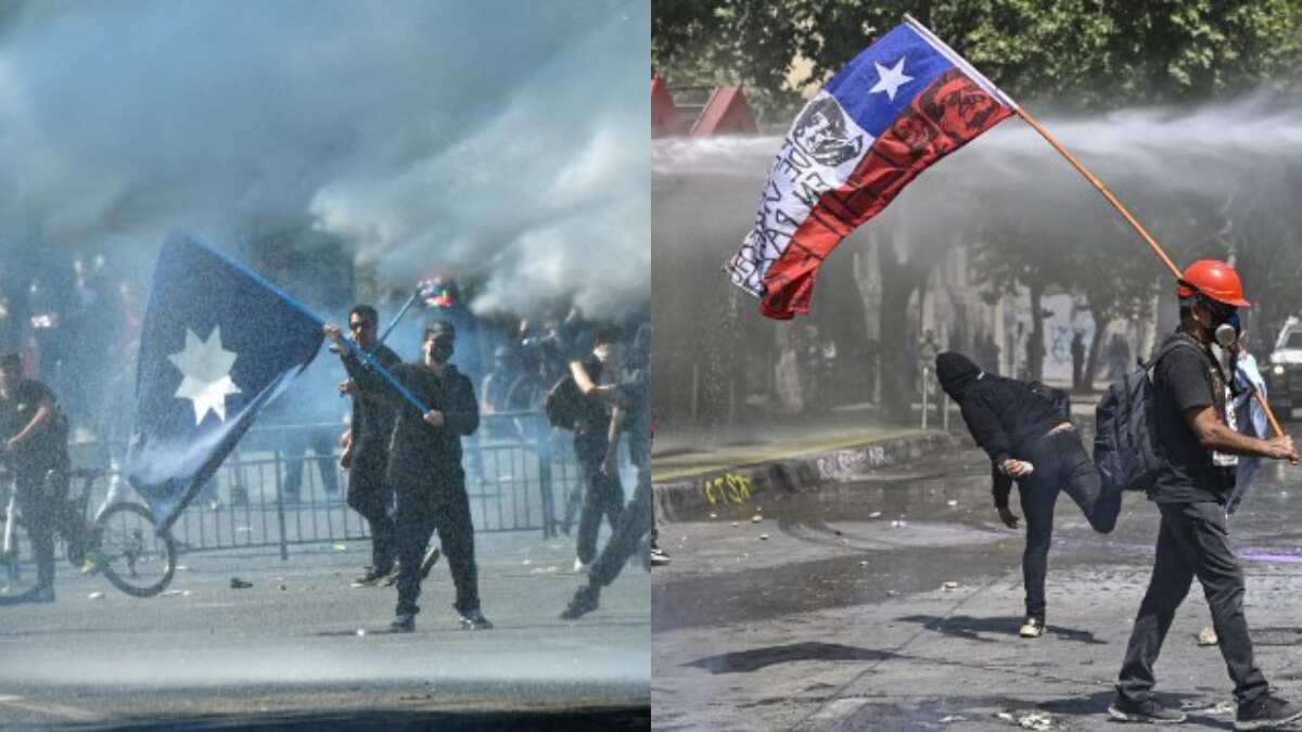 2019 revolt's anniversary