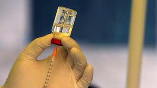 Scientists now have better understanding of how Ebola virus replicates within human cells