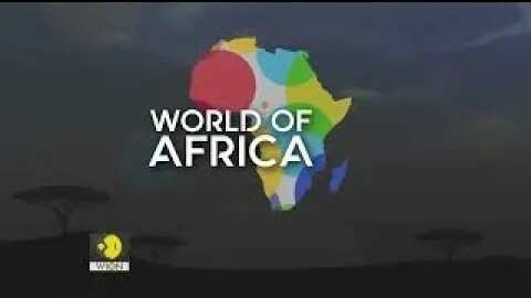 World of Africa: Gorillas in Cameroon undergo habituation