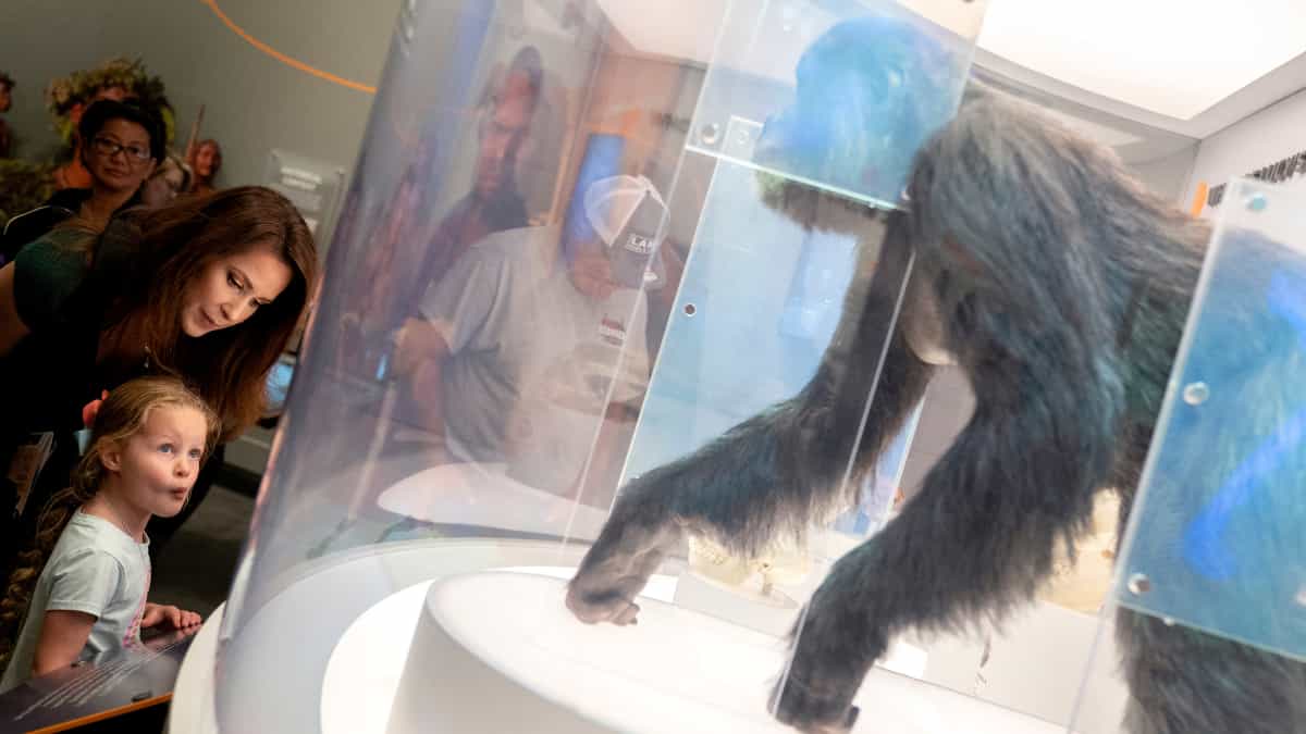 Bible is 'more than just a story'