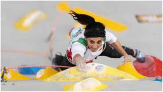 Fans cheer, clap as climber Elnaz Rekabi returns to Iran