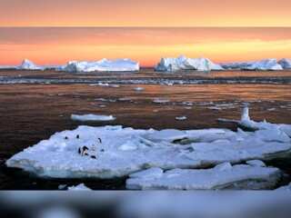 WION Climate Tracker: Study: Rate of ocean warming doubles over two decades